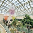 유니스의정원 보타닉하우스 이미지