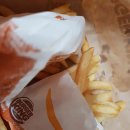 11500-5-20-01 이미지