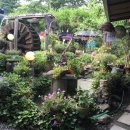 이집이 좋겠네 이미지