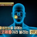 비타민E 풍부한 식품 먹었더니 이미지