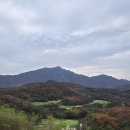 황금덜미 | 베어크리크CC 포천 골프 클럽 에서 만나는 황금 빛 가을 라운딩