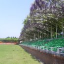 등나무 운동장 이미지