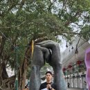 구룡공원입구 이미지