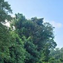 수산본향당 이미지