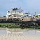 민박하얀집 이미지