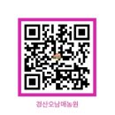 대구 경산 내돈내산 신비복숭아 | 1년에 딱 2주만 허락된 맛, 오남매농원 대구신비복숭아