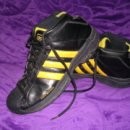 허쉬퍼피 이미지