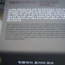 탑동 5층석탑 이미지