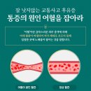 진자동차병원 이미지