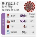 국내 코로나 19 확진 현황 이미지