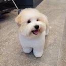 신세계미용 이미지