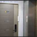 호현로439번길 이미지