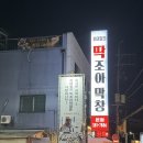 조아막창 | 대구 북구 맛집 딱조아막창 대구엑스코 본점 방문 후기