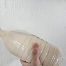 사천탁주 이미지