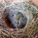 둥지농원 이미지