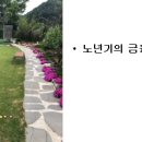 평생자산관리연구소 이미지