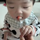 꿀복이팜 | 설향 방울딸기🍓 돌쟁이도 잘 먹은 달콤팜 생딸기 추천