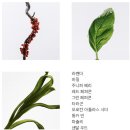 로에베 | 성수 로에베 매장 방문후기, 남자 여름향수 추천!