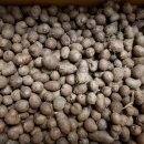 지송농장 이미지