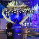 땅끝해양자연사박물관 | 해남땅끝마을 아이와 가볼만한곳 땅끝해양자연사박물관 대왕고래