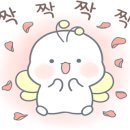 대세의료기 이미지