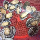 착한낙지 이미지