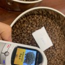 ROASTING POINT(로스팅포인트) | 세종바리스타학원에서 로스팅 카페 창업 꿈꾸는 분께 SCA Roasting Lv.1 솔직 후기