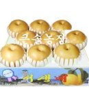 큰솔농장 이미지