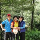 상우모터스 이미지