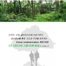 (주)미디어그룹사람과숲