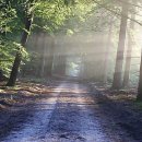 햇빛고운한의원 | 갑자기 온몸이 간질간질! 도대체 네 정체가 뭐니, 두드러기?!