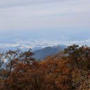 원주굽이길 15코스 백운산자연휴양림길 이미지