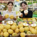 화산농업협동조합 이미지