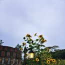 남한장 | 남한산성 백숙맛집 &#34;남한장&#34;, 나혼자산다 이장우편에 소개된 전망좋은 &#34;남한산성 서문전망대&#34;, &#34;청와정...