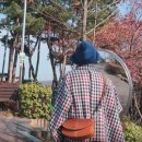 성희패션 네이버블로그