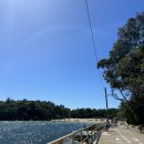 패리앤하우스 | 시드니 3일차 : 맨리 비치, 셸리비치, Fairy Bower Sea Pool(맨리 근처 수영장), 피쉬앤칩스