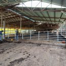 대영철물안전 이미지