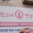 빙고네펫샵 이미지