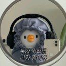 아이블리 이미지