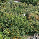 박지호농장 이미지