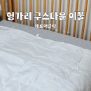 양지크리닝 | 사계절 구스이불 제로어클락 헝가리 구스다운 사용 후기