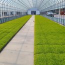 은현농협 이미지