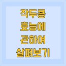 작두콩 효능에 관하여 살펴보기