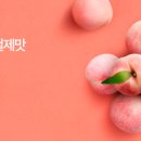 과일어때 - 용인시 수지구 성복2로76번길 26-4 | 과일어때