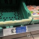 토마토마트 이미지