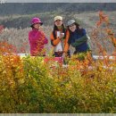 정암사 주차장 이미지