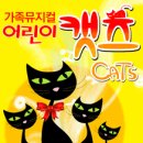어린이 캣츠 Daum카페