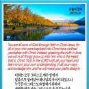 오늘의양식 네이버블로그