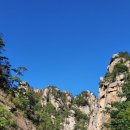 (주)테마캠프여행사