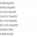 우당탕탕 사고뭉치 이미지